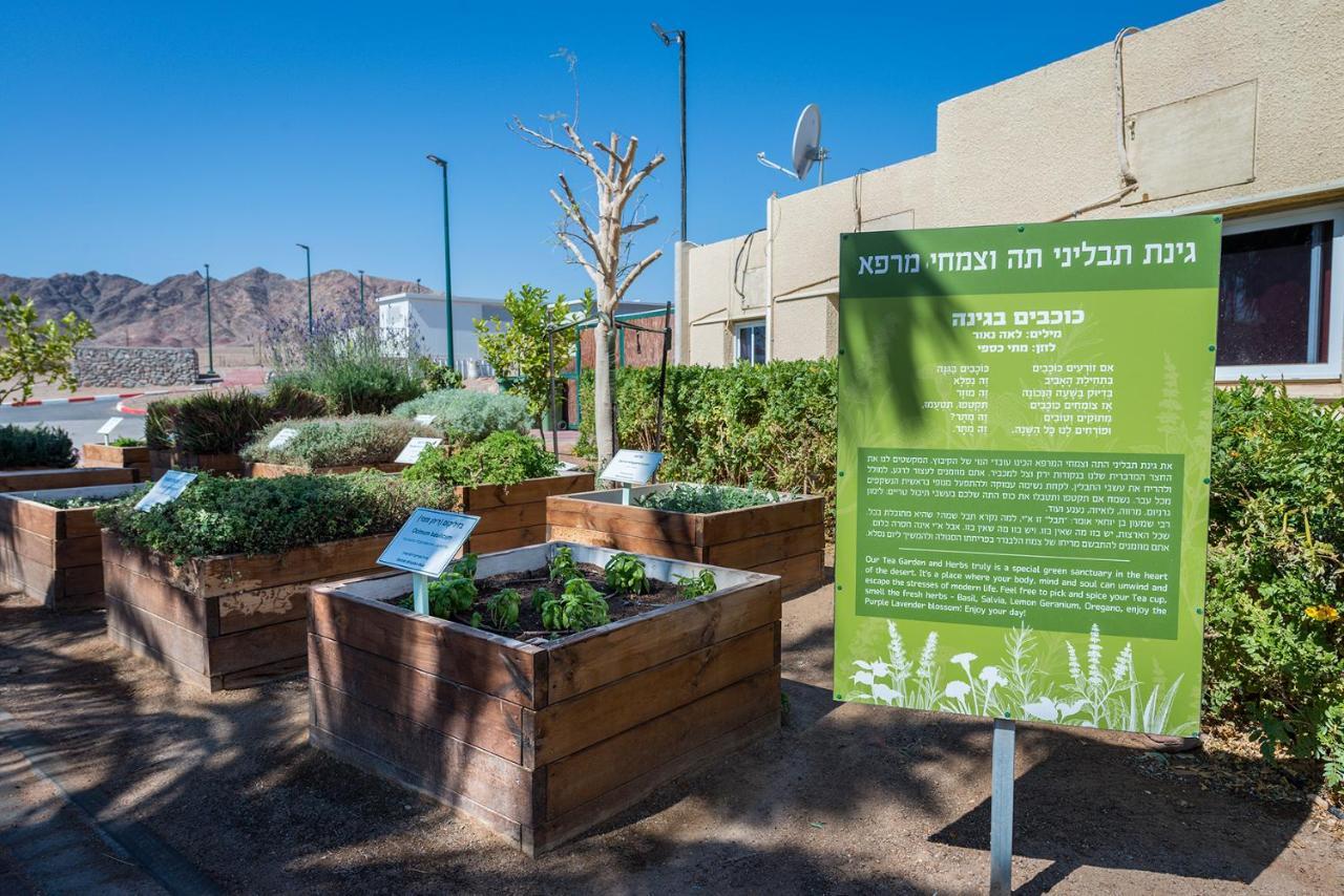 Eilot Kibbutz Country 2* Eilat